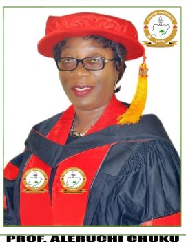 Professor Aleruchi Chuku