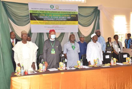 NAAE Conference: Agric economists call for end to soaring food prices